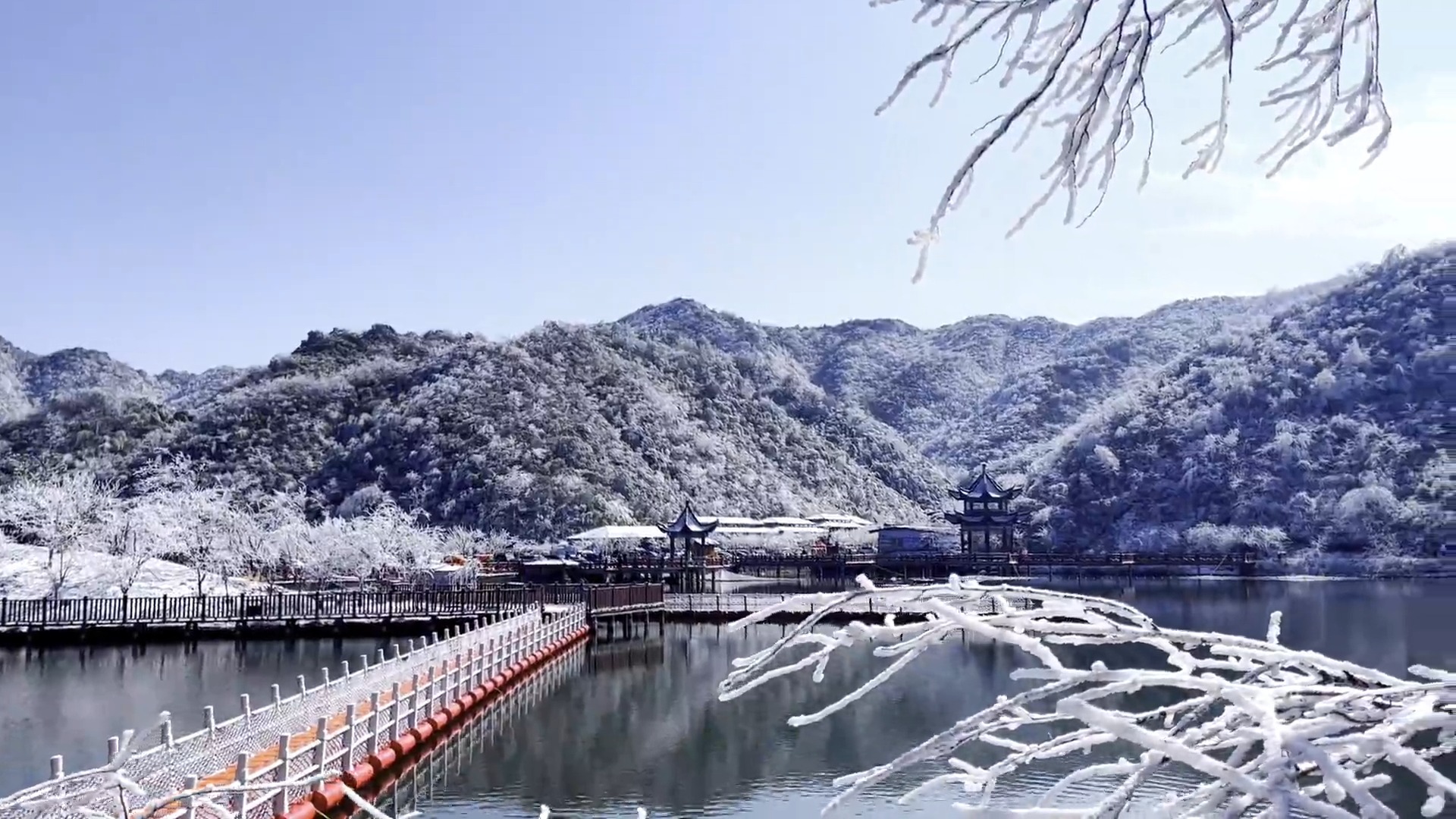 阳明山雪景图片