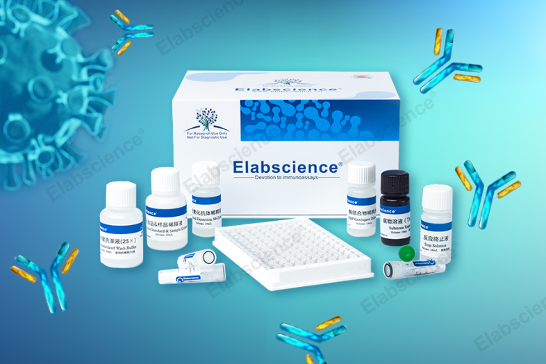elisa实验常见问题(一)