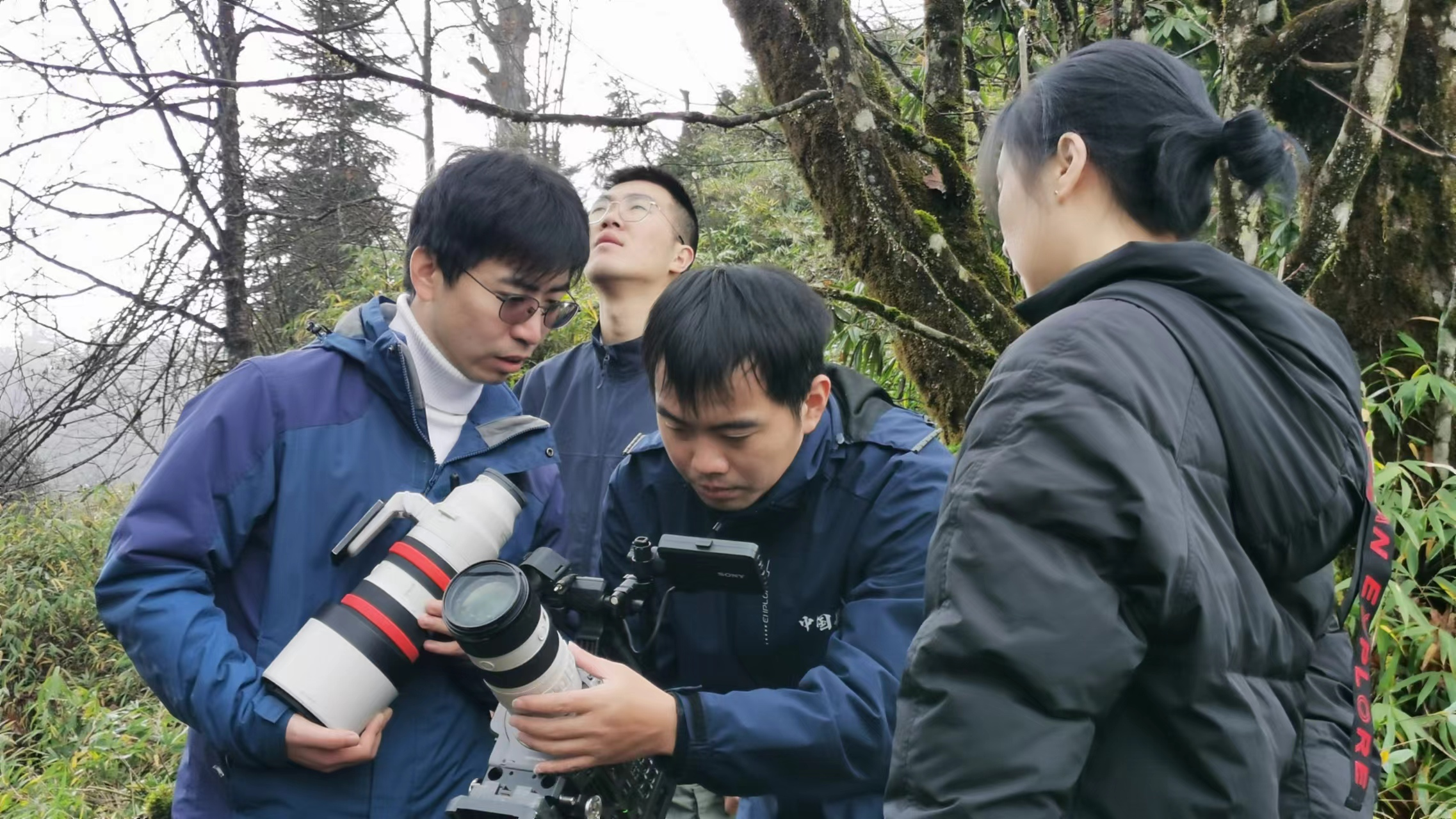 自然人文紀錄片《萬物競榮大相嶺》四川衛視今晚播出