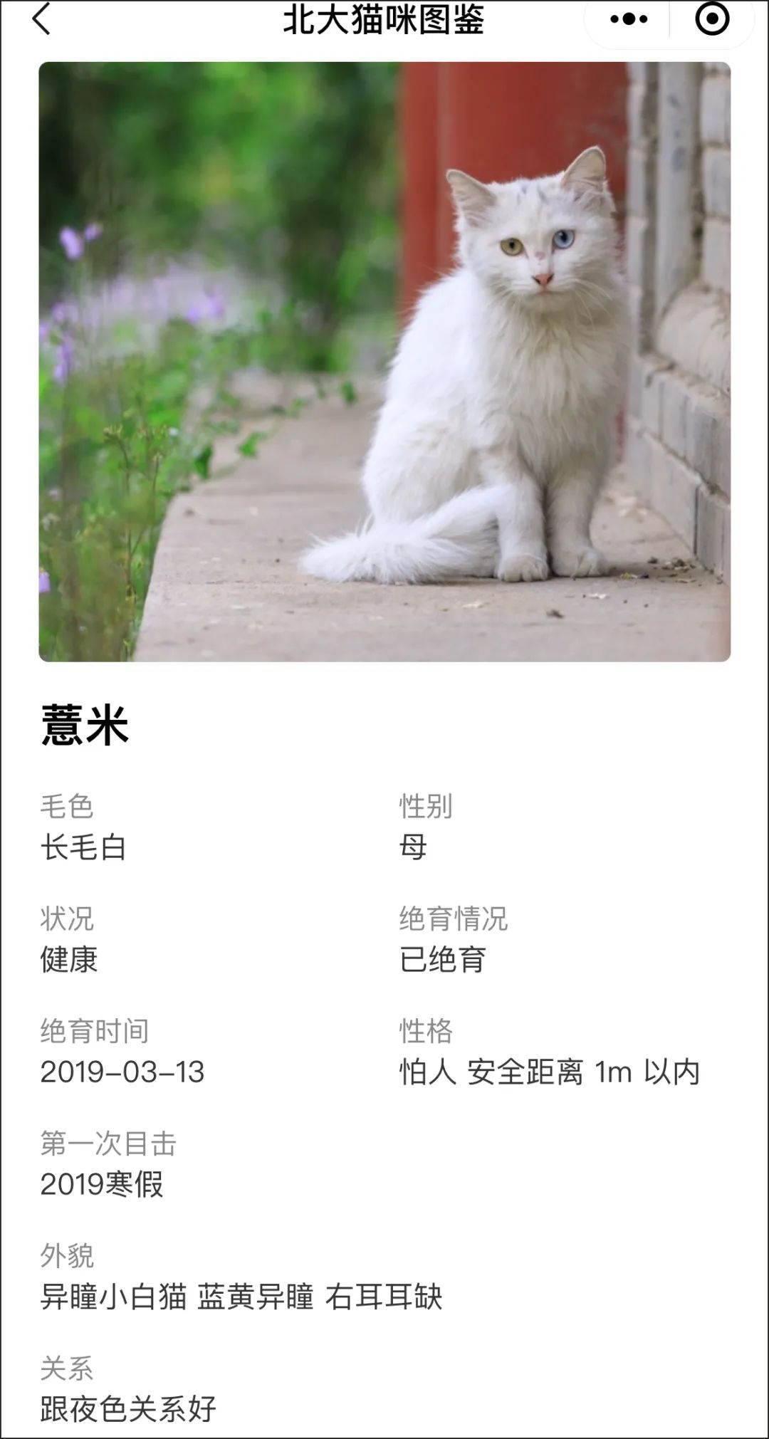 北京大学猫咪图鉴,怎么都不喜欢姜丝鸭?