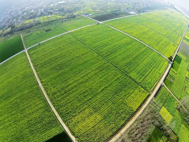 从自然生态系统探耕地保护新路径