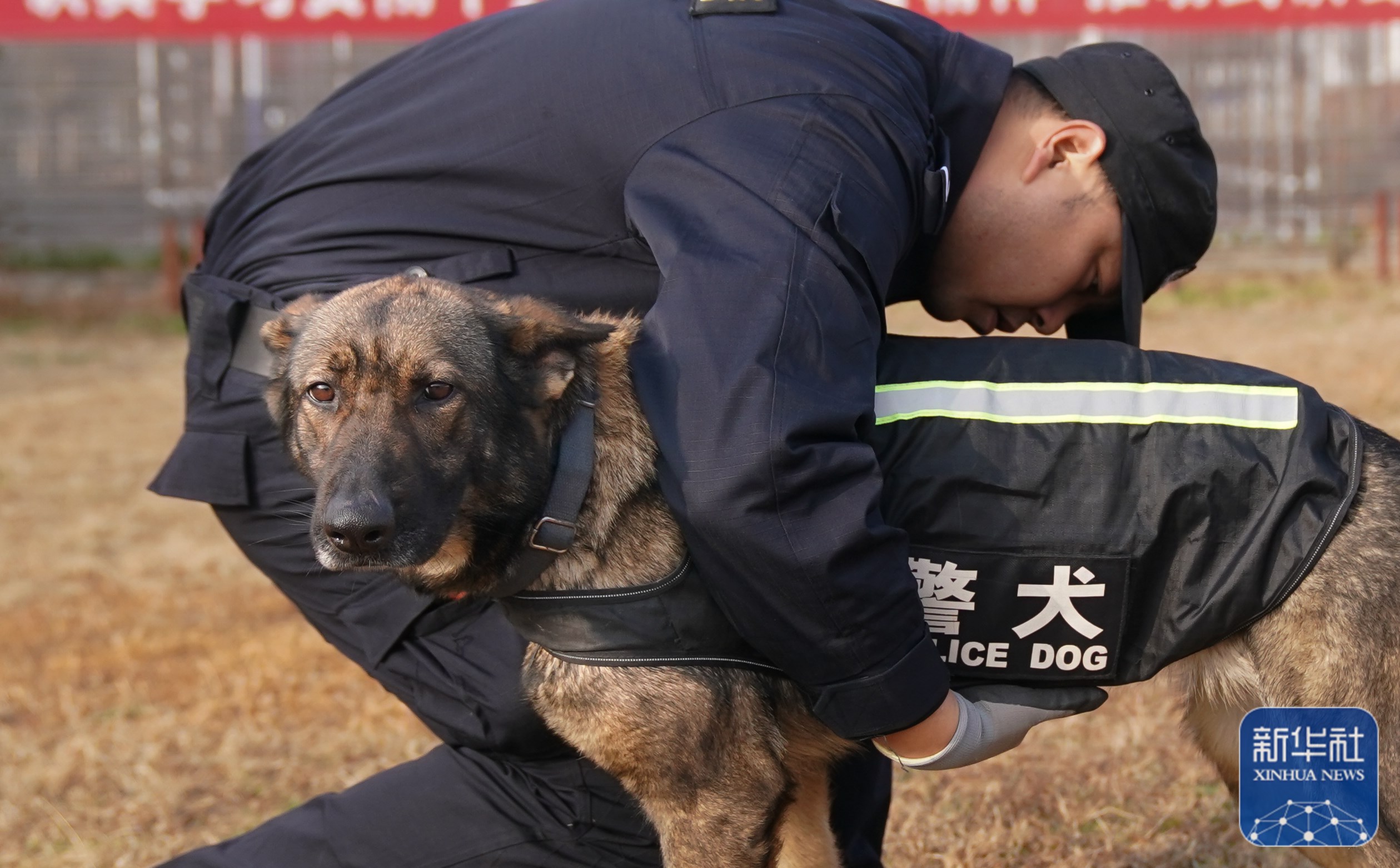 武汉:警犬训练备战春运