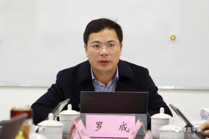 罗成主持召开平果市第一届人民政府第28次政府常务会