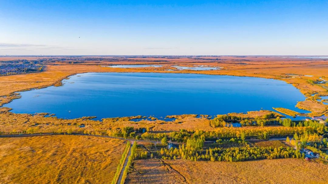 齐齐哈尔鹤城|醉美景色在秋季