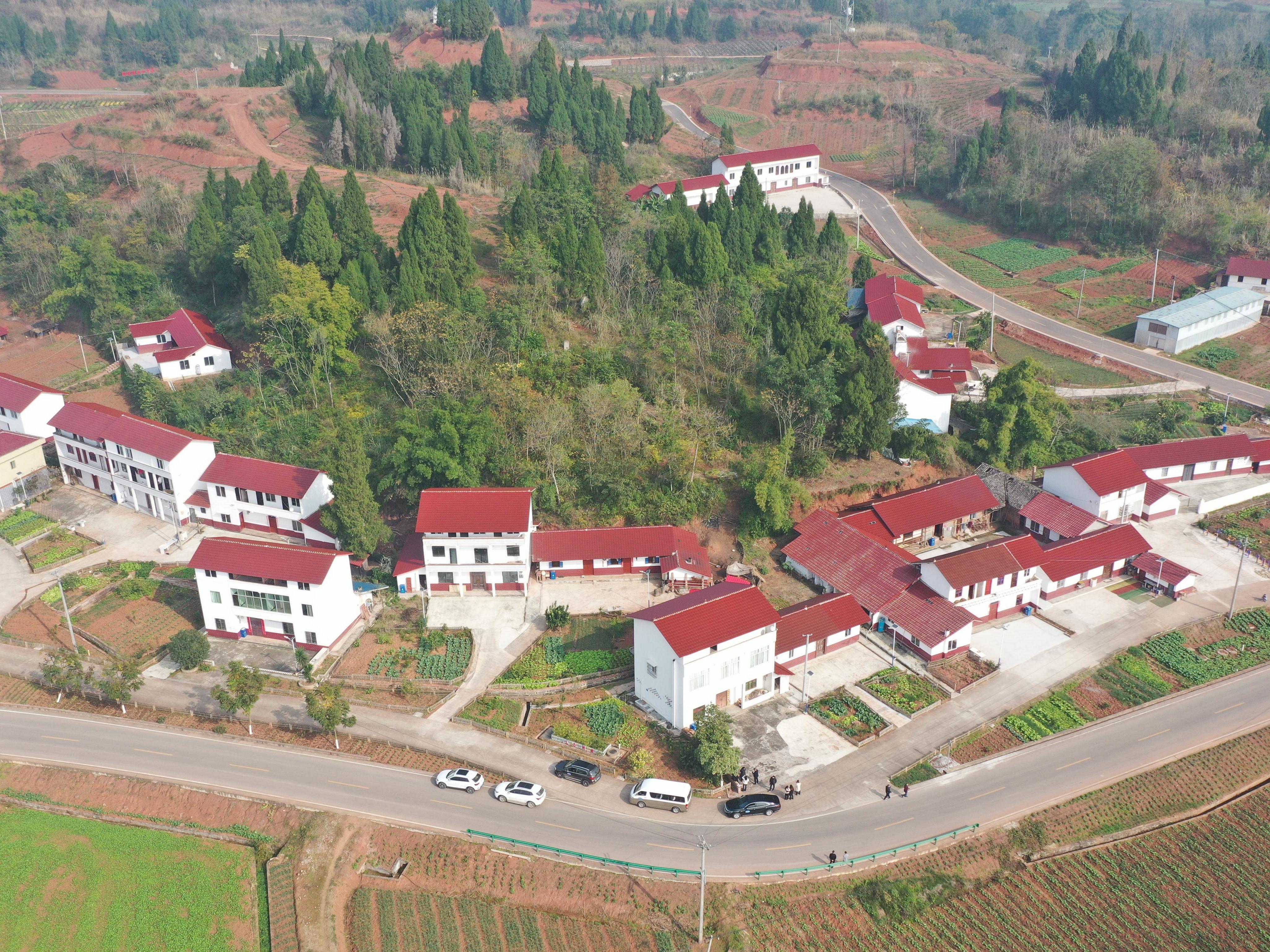 四川内江东兴区推进农村面貌改善行动 先赢得百姓支持再赢得乡村振兴