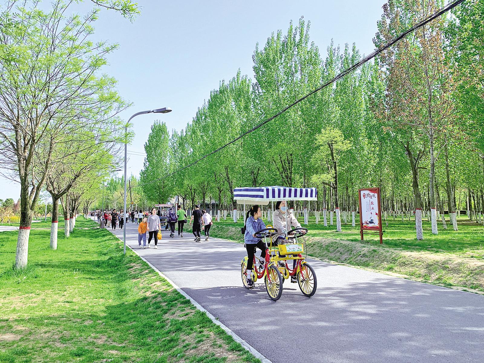 厚植生态底色 推动绿色发展——庆阳市生态文明建设工作综述
