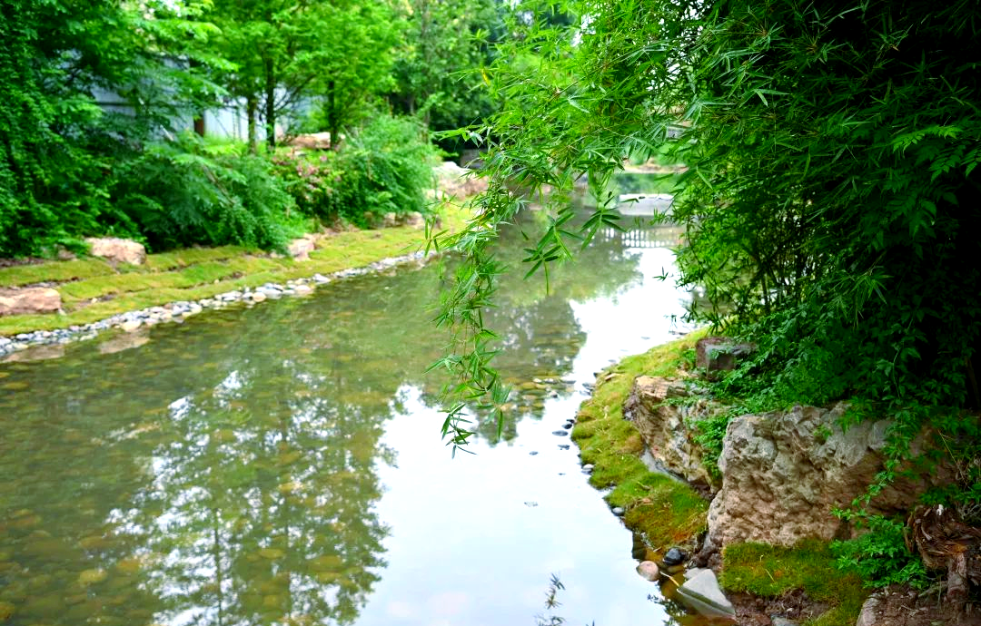 荣县天宇湿地公园焕新颜,生态美景引市民期待