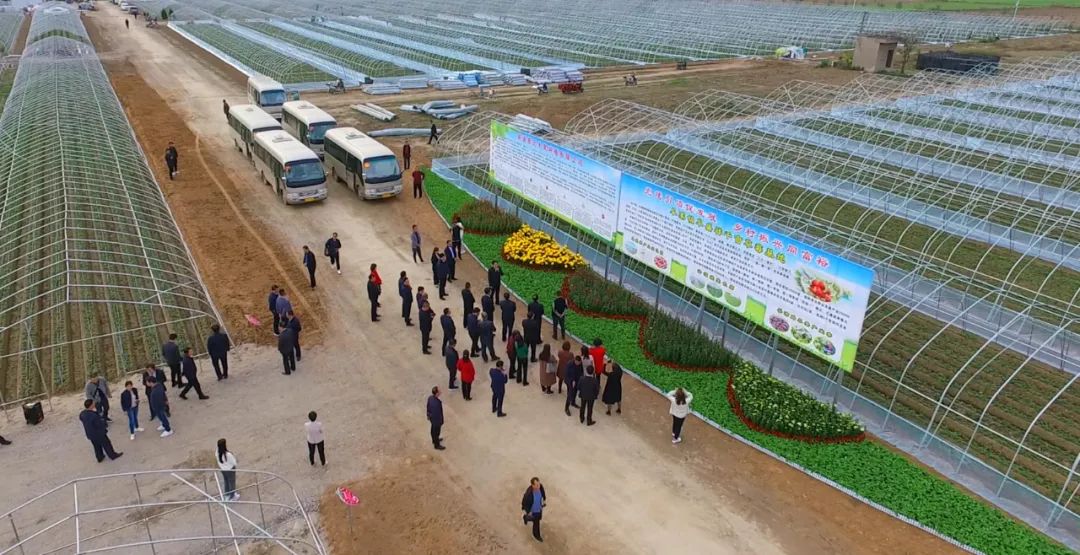 在咸省十三届人大代表调研兴平市阜寨镇阜盛祥农业草莓大棚产业扶贫有