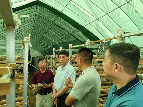 程金林率队调研郊区新型农村集体经济发展情况