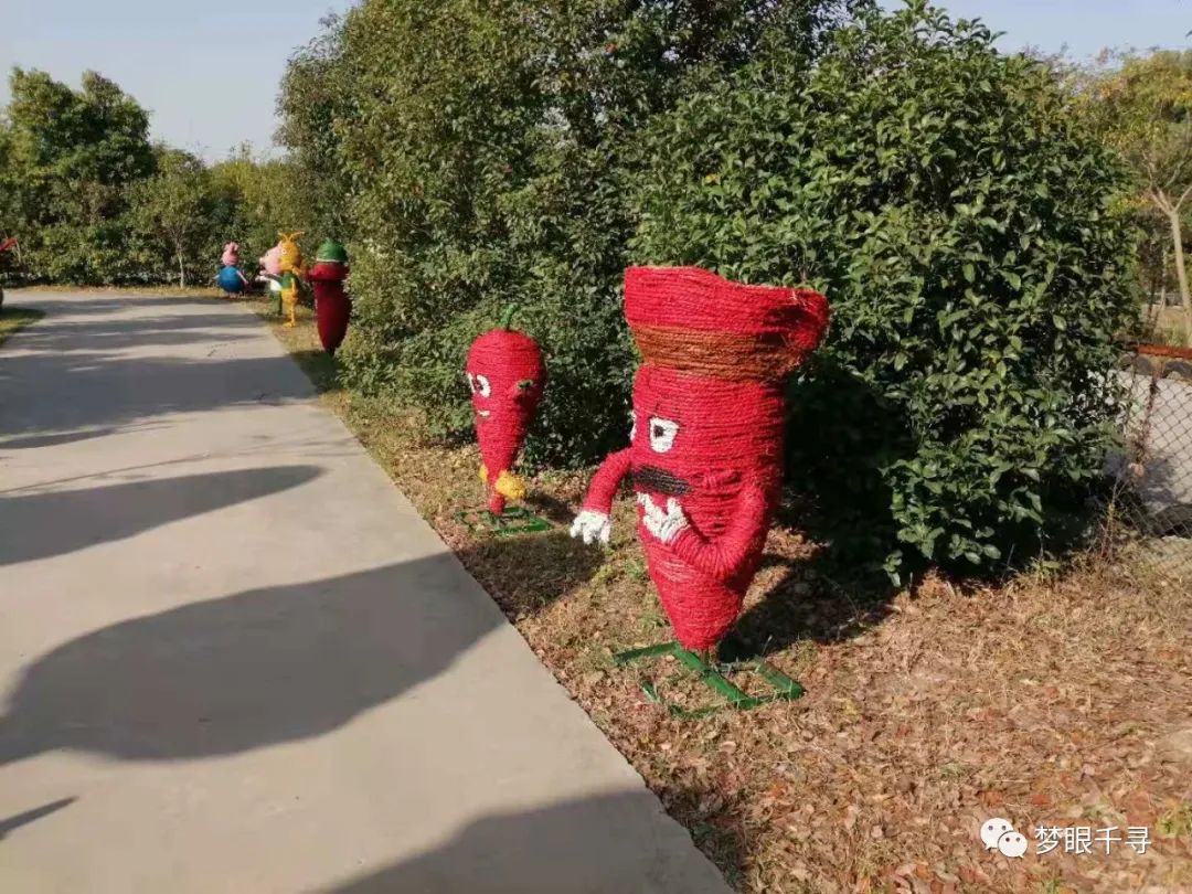 镇江世业州开心农场欢乐行