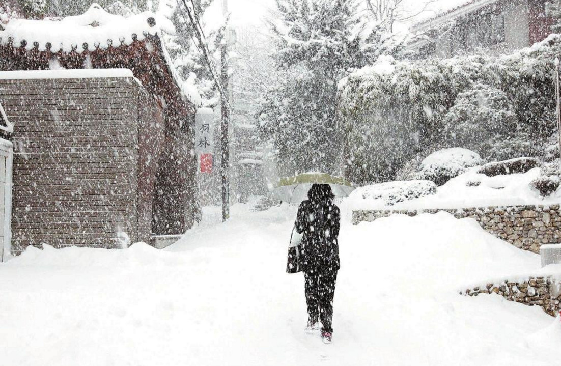 内蒙古大雪破纪录,小区车辆全部被埋