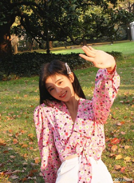 鞠婧祎起诉花椰菜大王二审败诉