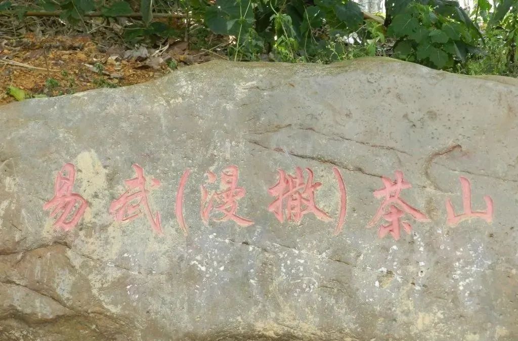 家普·传世金印-绿(ywpe202201)产品说明手册