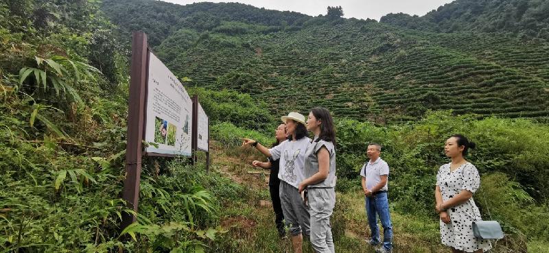 致公党四川省委会秘书长杨志萍带队走访党员企业