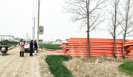 江苏连云港灌云县小伊镇村庄清理"杨絮"污染源