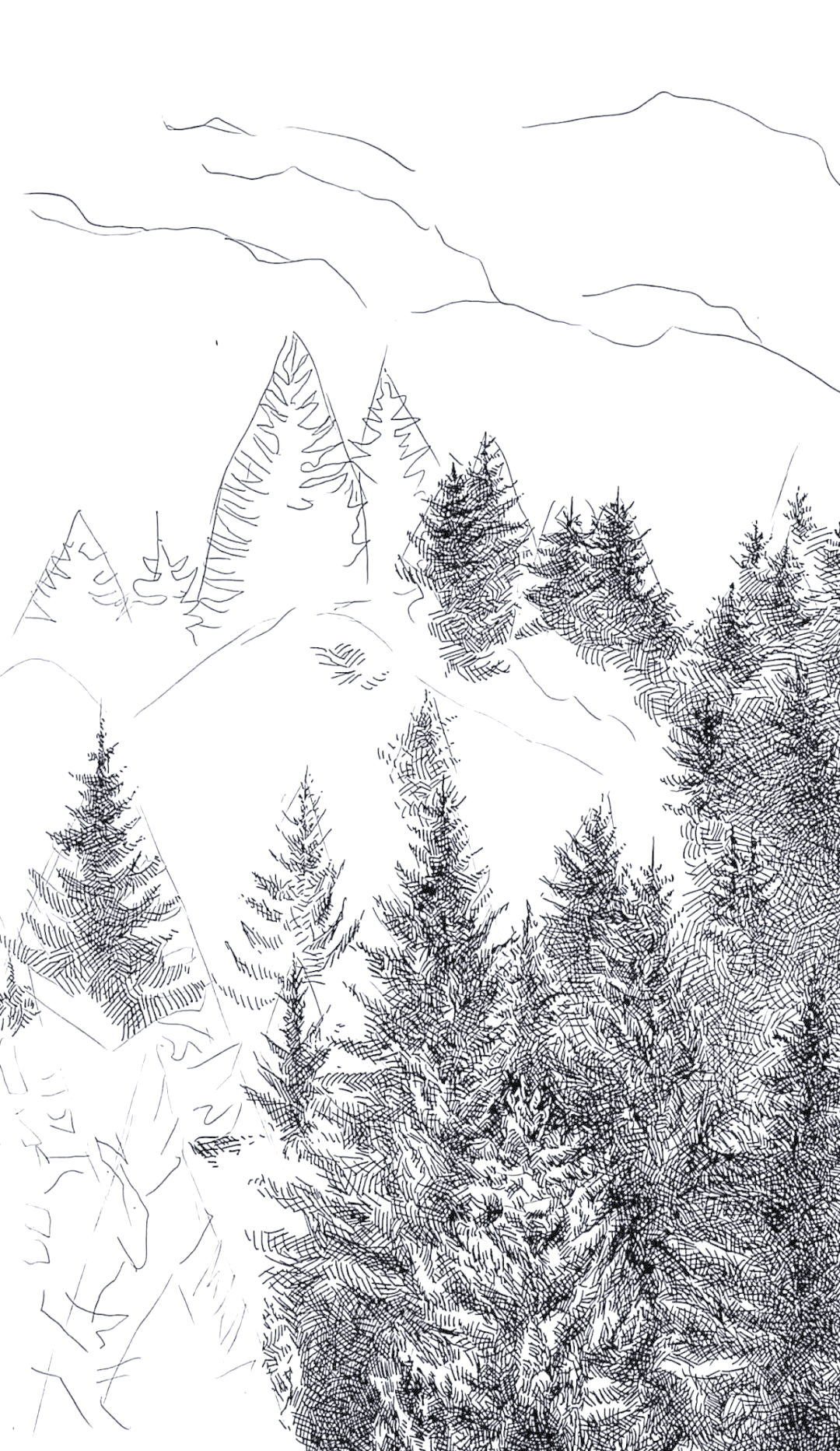 「小进钢笔画教程」探索迷雾森林的绘画之旅