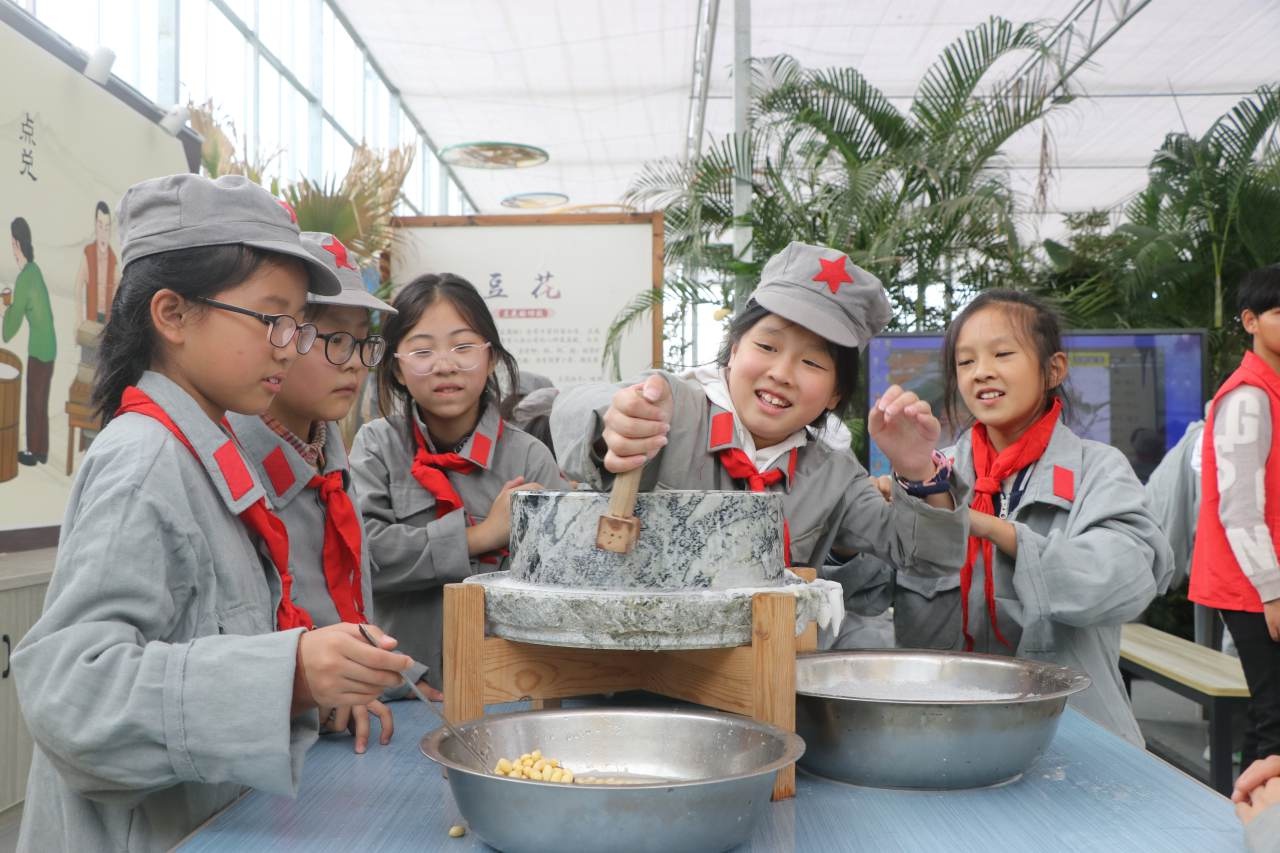 飞英小学:研学实践促进劳动教育