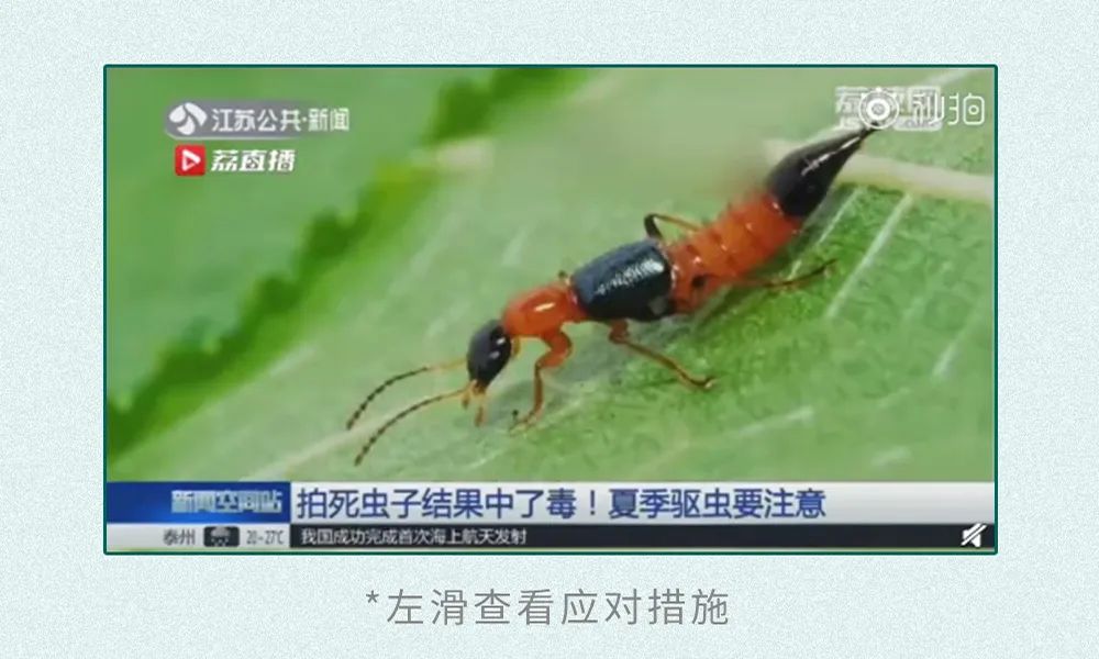 关键时候可以保住大家小命的知识!