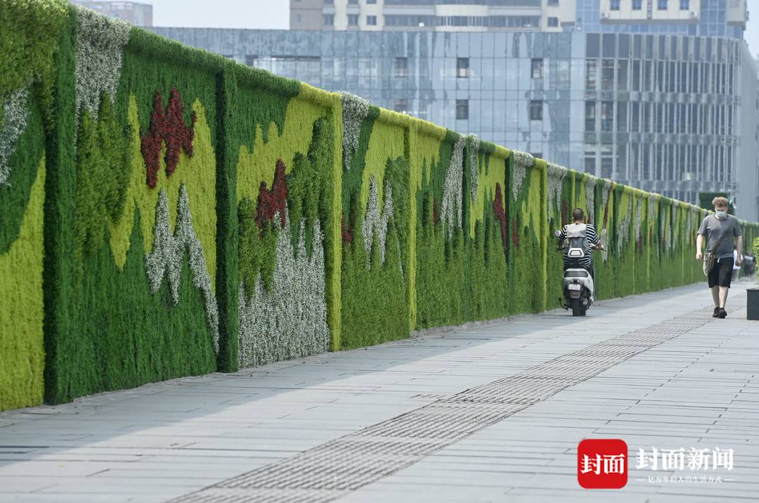 成都一建筑工地外墙有道绿色的风景