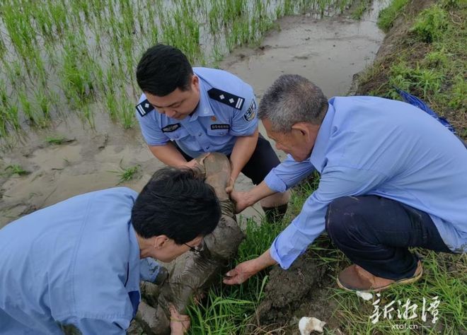 "泥腿子"民警,你真帅!