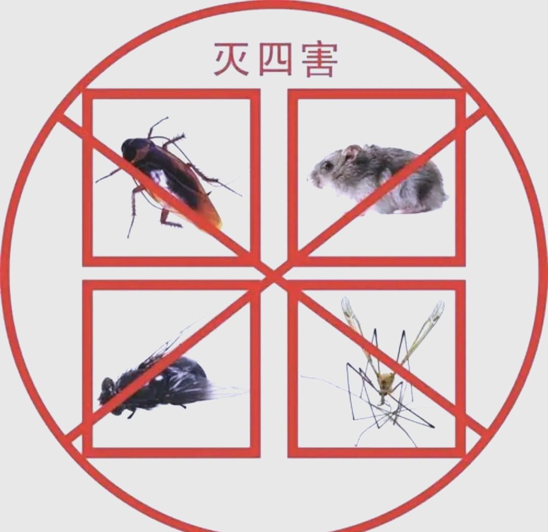 四害消杀