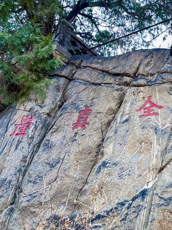 泰安不止有泰山 | 闲游三阳观,在静谧中品茶香人生