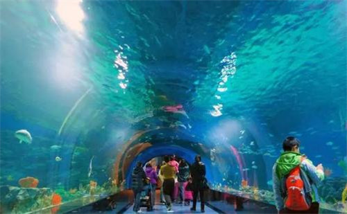 太原水族馆图片