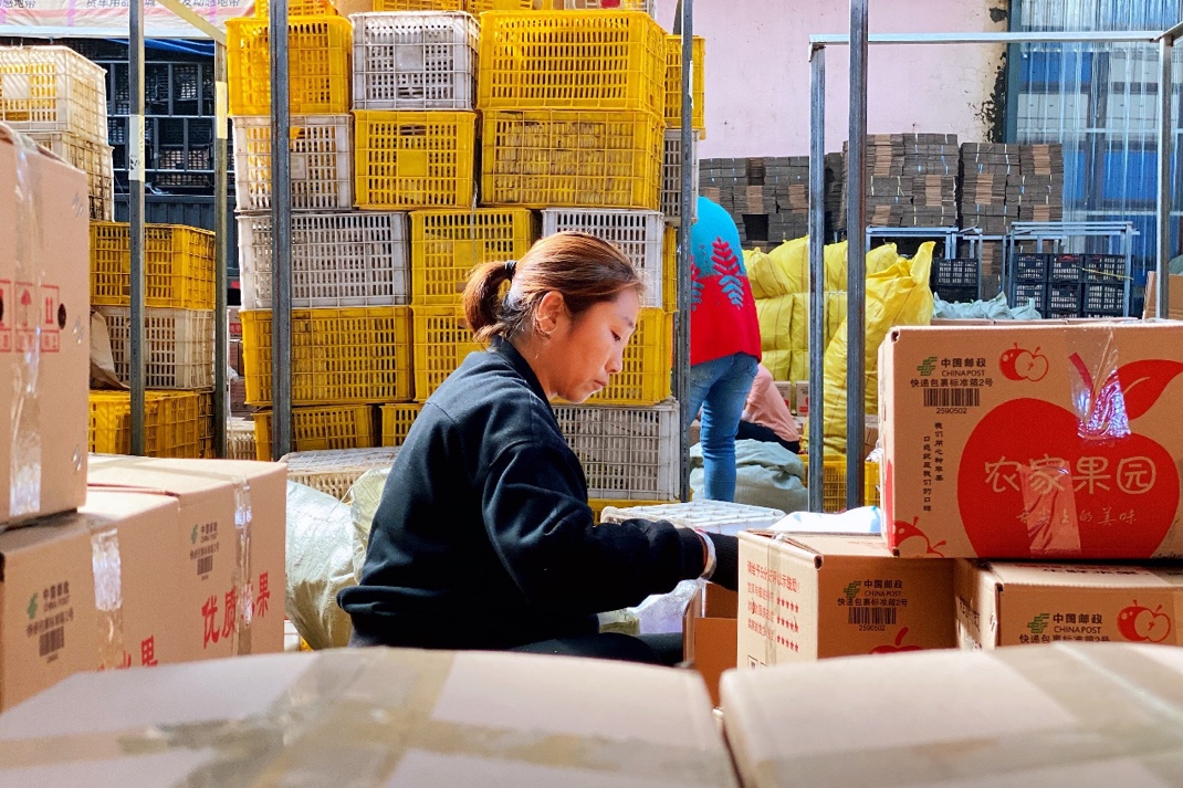 晋陕鲁,甘川新组团登陆拼多多苹果双11,百亿补贴助力"北纬35度"开门红