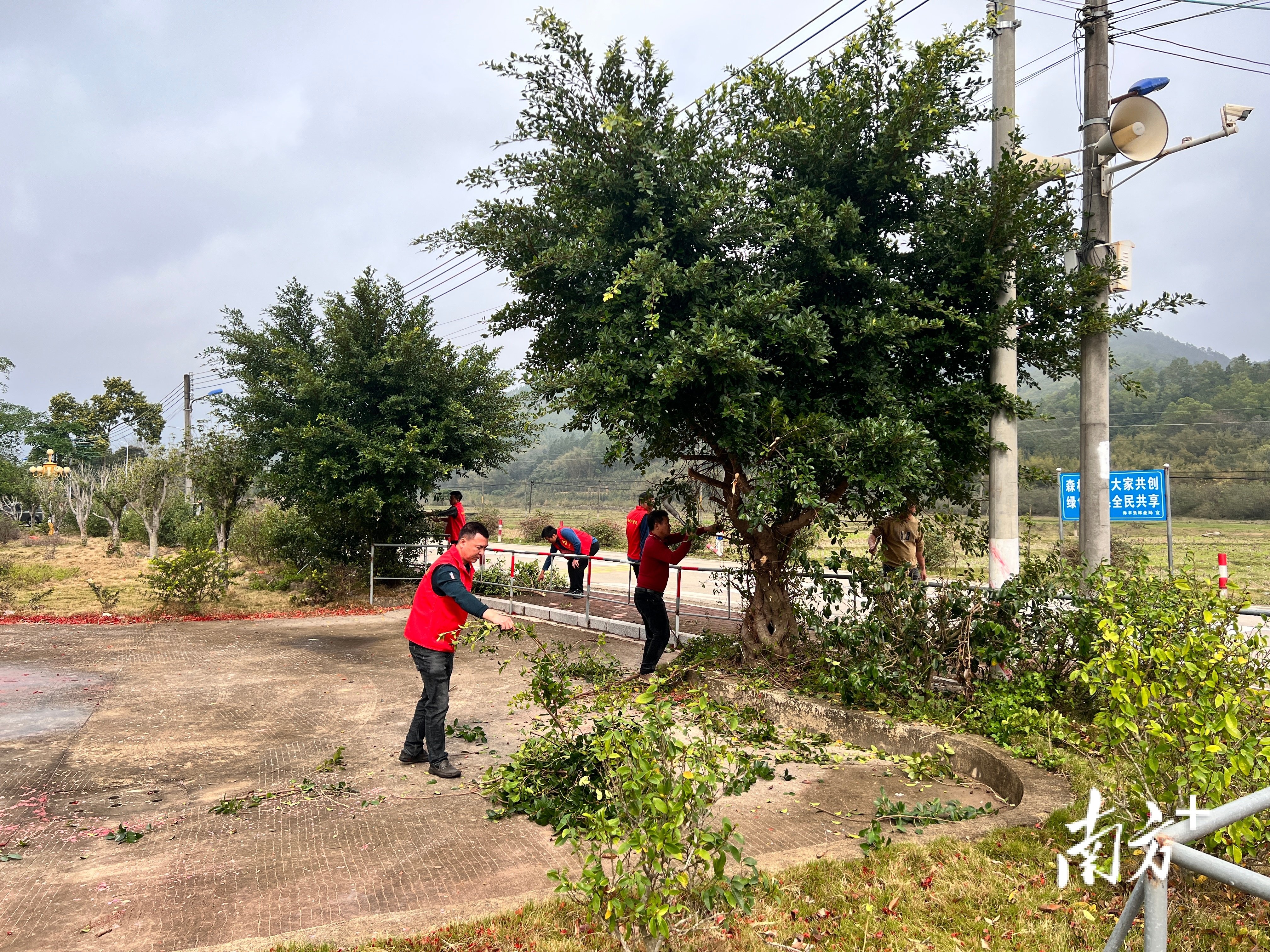 绘制和美乡村画卷!海丰县公平镇下洞村建设宜居宜业和美乡村