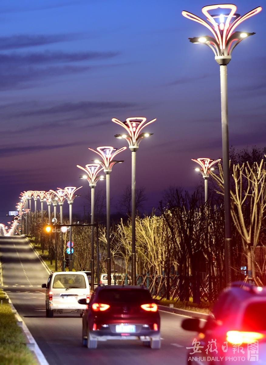 炫彩路灯照靓乡村振兴路
