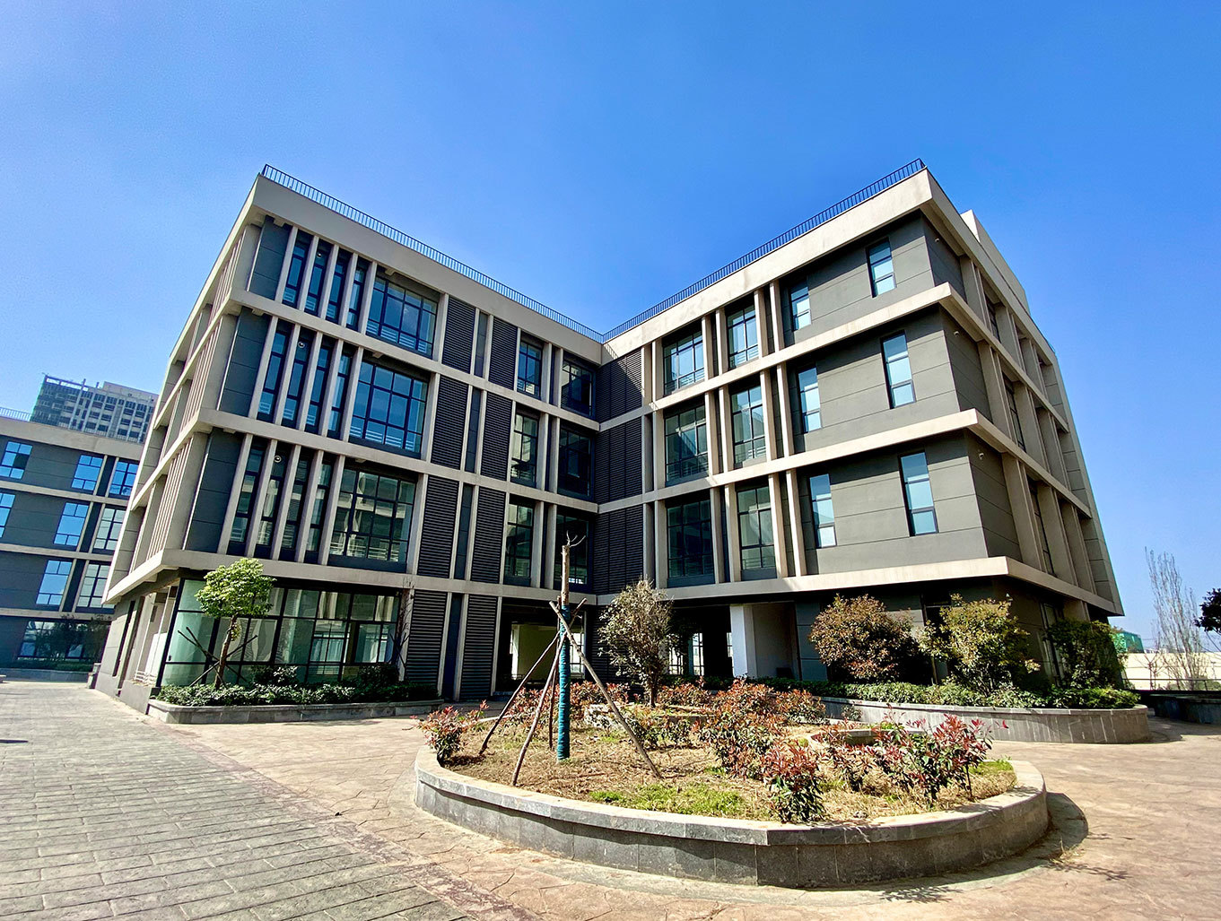 中电光谷(洛阳):打造综合性数字经济产业园,助力高新产业转型升级