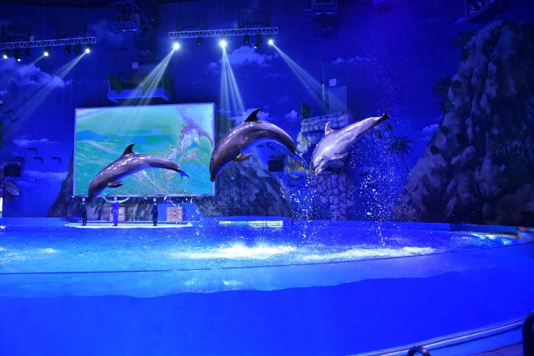 圆通山动物园水族馆图片