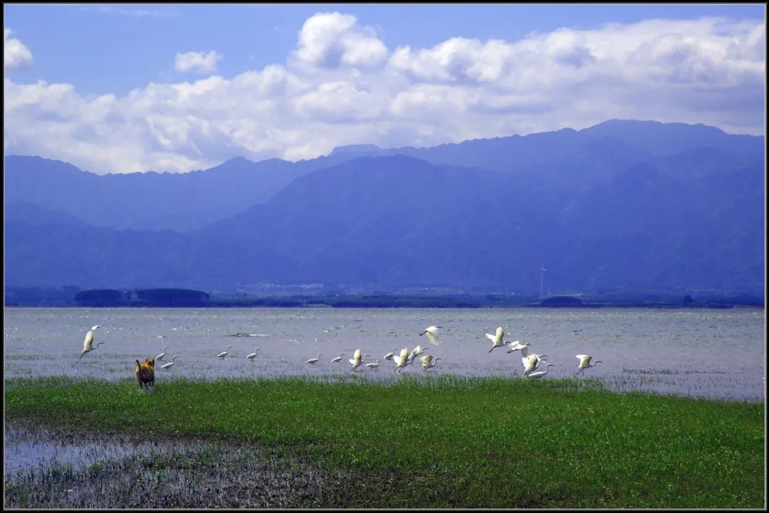 富川县湿地公园图片