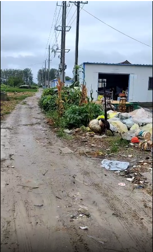 射阳县蒲港村5组泥土路何时能变水泥路?村民盼相关部门尽快解决