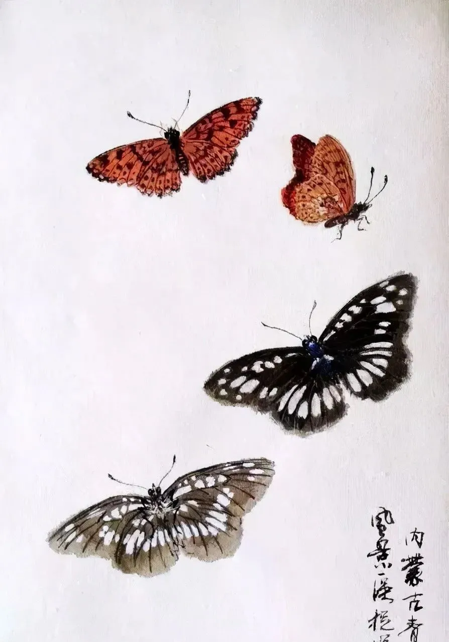 众多工笔蝴蝶图,美不胜收!