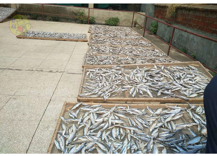 进口海鲜—越南康氏侧带小公鱼干检测出新冠,进口海鲜如何操作?