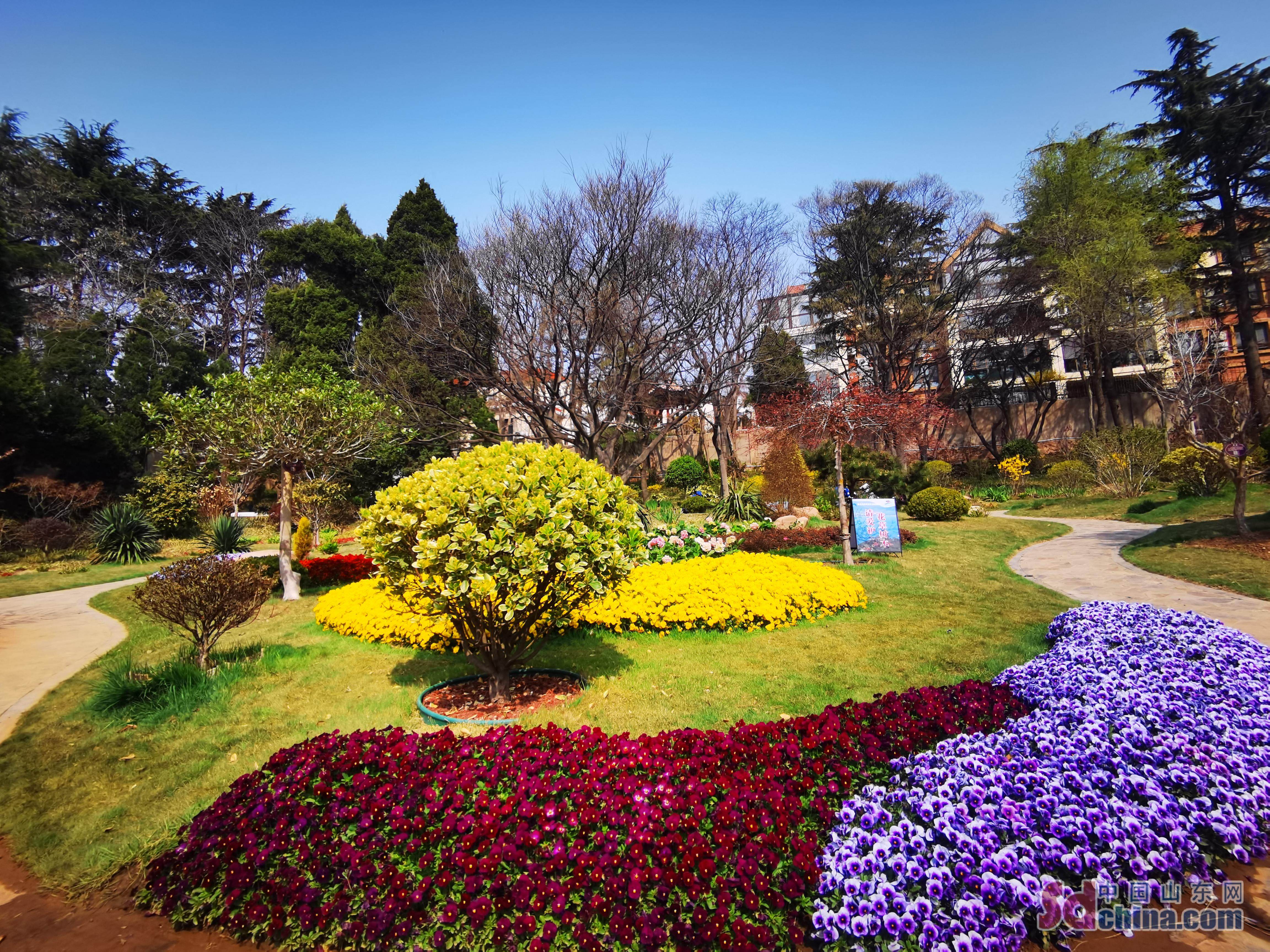 青岛百花苑景区多措并举提升游客游览体验