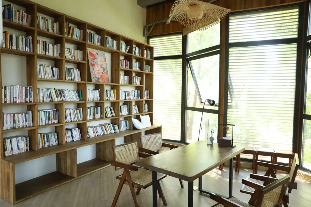 打卡庄行镇稻田里的"图书馆"