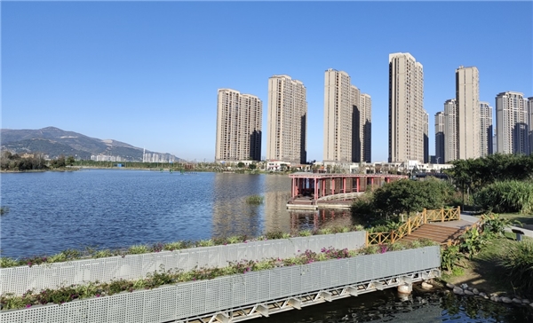 稳中有进,亮点纷呈!龙港新城交出高质量"硬核"答卷