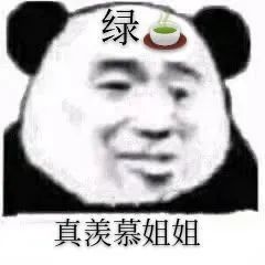 绿茶熊猫头表情包