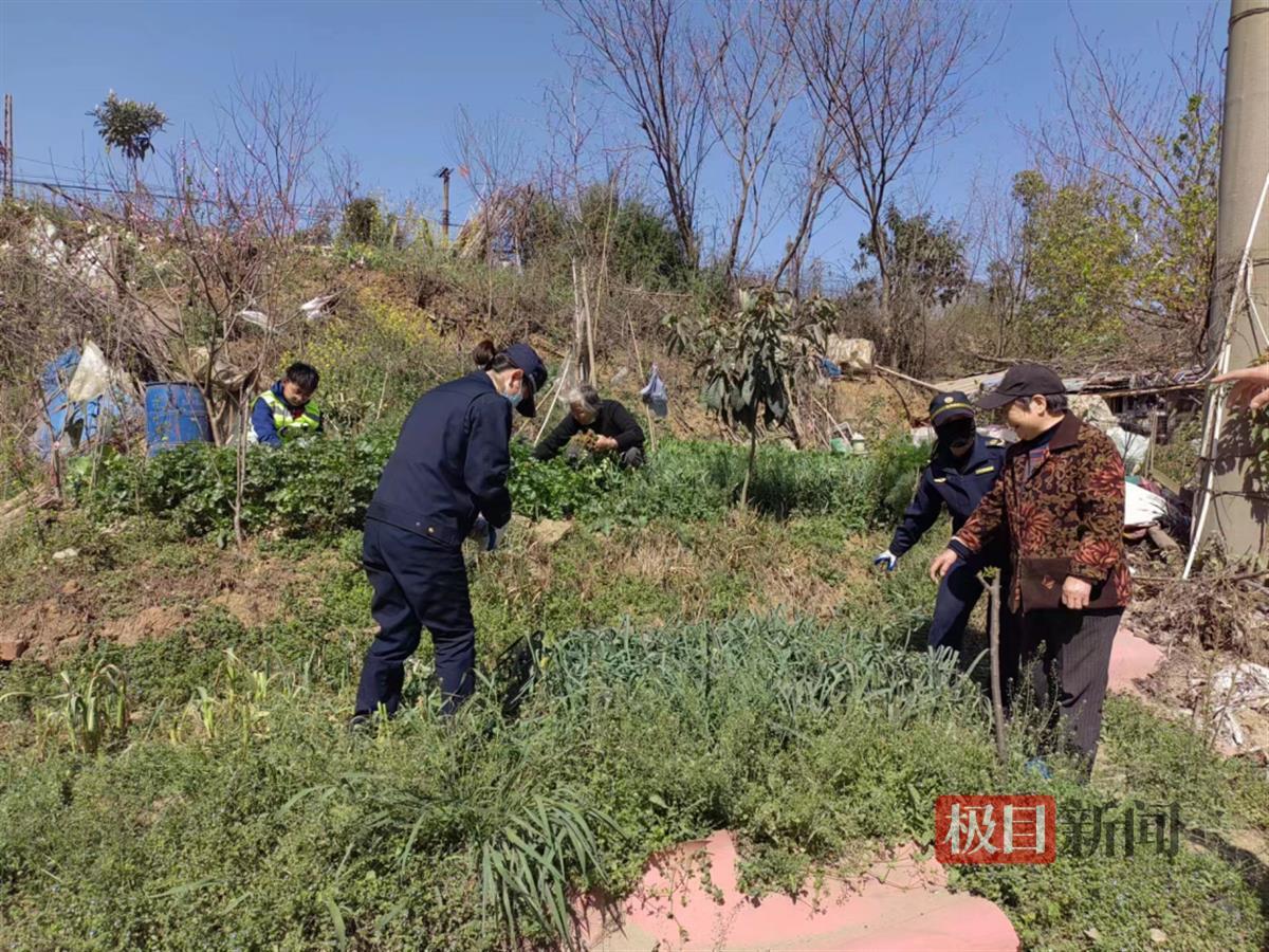 剷除鐵路兩側違規菜地近900平方米,武漢武東街道路長在行動