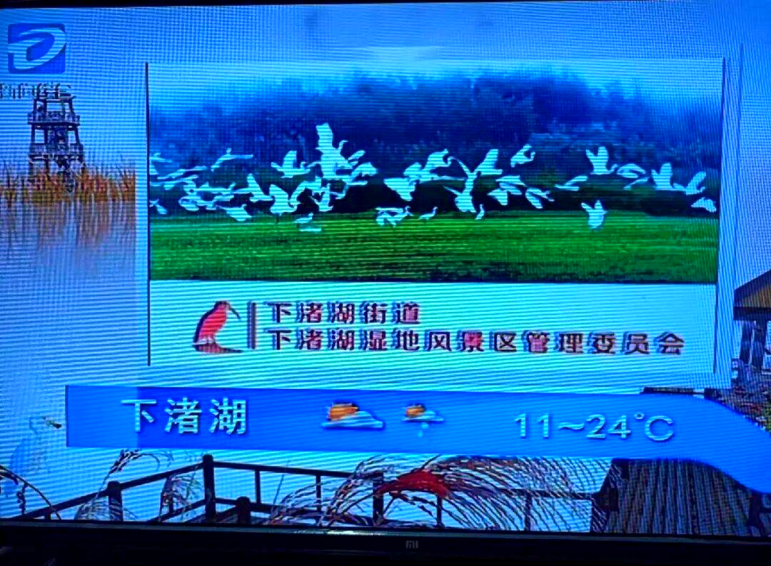 德清武康天气预报预报