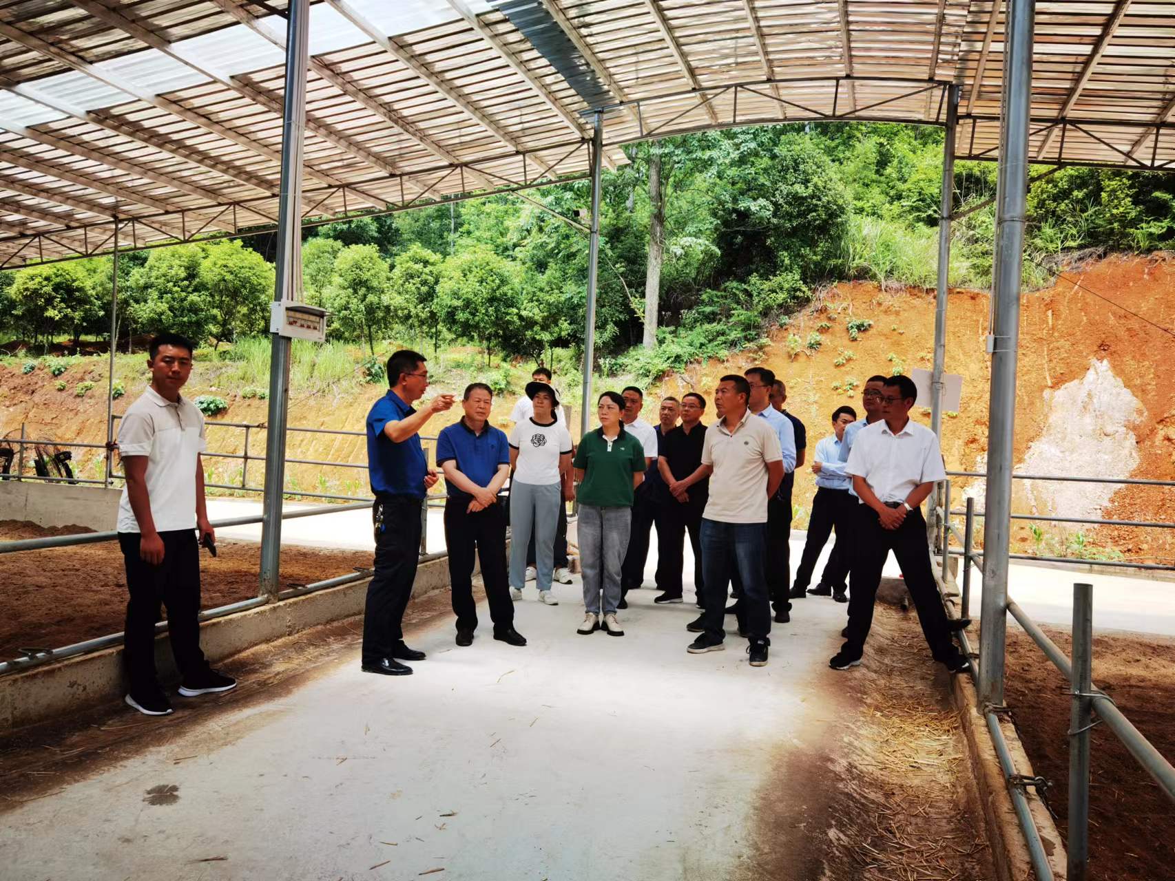 安顺市副市长潘登岭一行到我县考察肉牛产业发展情况