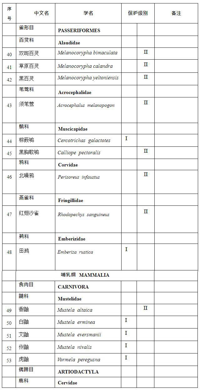 新疆野生动物保护名录图片