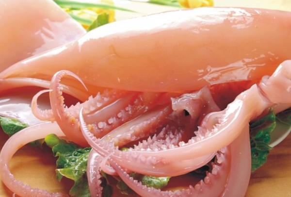 鱿鱼进口报关/俄罗斯鱿鱼进口流程分享