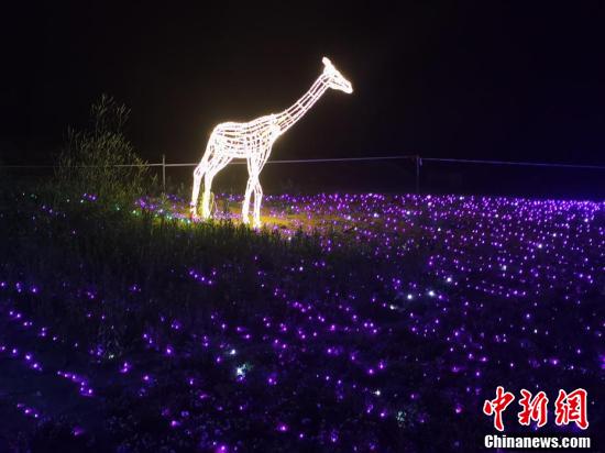 從荒山野嶺到霓虹閃爍 這座莊園最適合夜裡去打卡