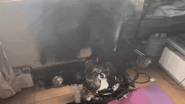 “電取暖”雖香，用錯(cuò)會(huì)遭殃！你的取暖方式安全嗎？-有駕