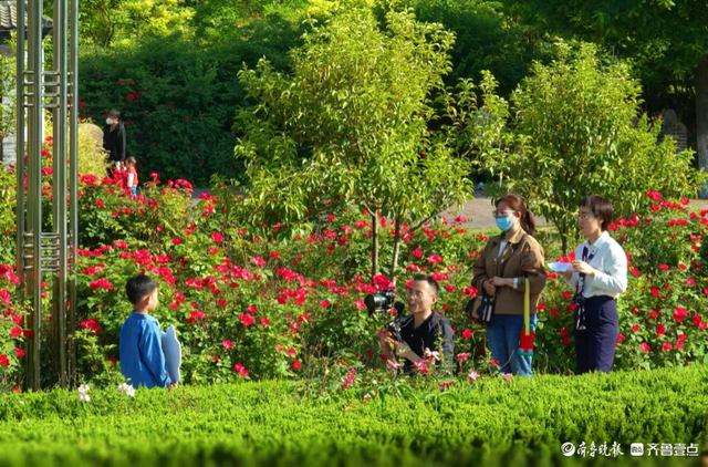 龙盘山公园图片