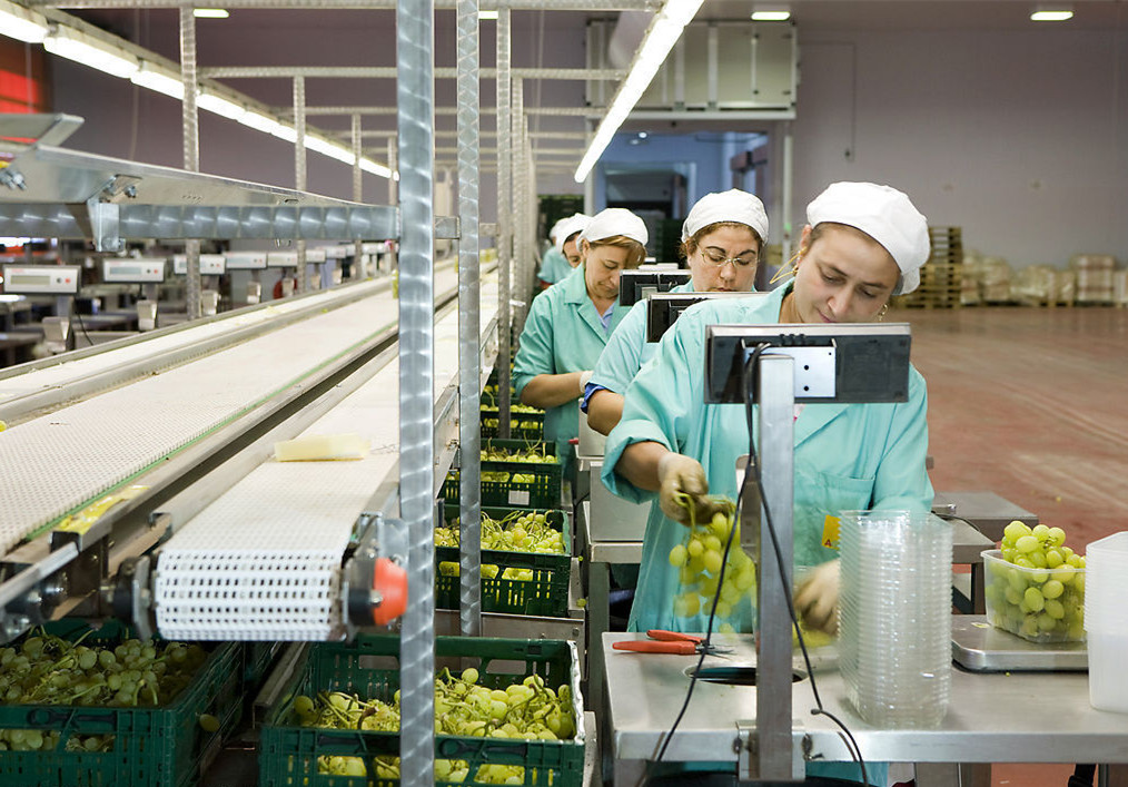 nfc果汁设备 鲜榨果汁加工设备 果汁饮料生产线 去籽榨汁机