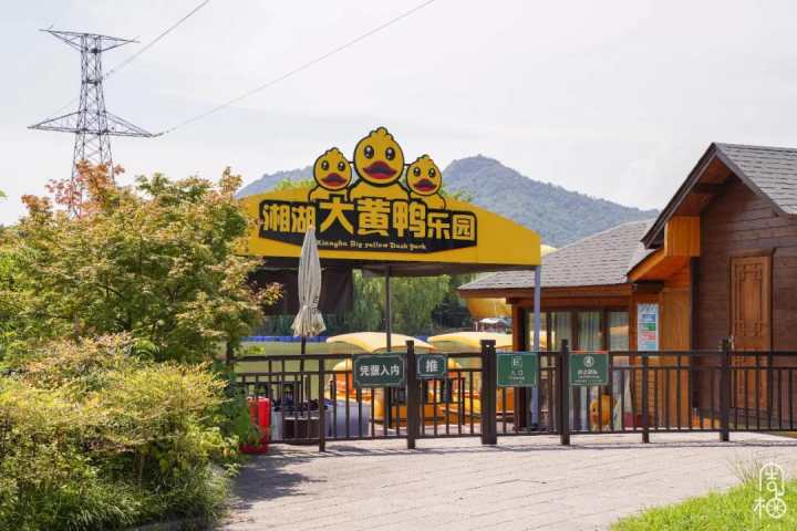 你和迪斯尼在逃公主只有一朵小菊花的距离